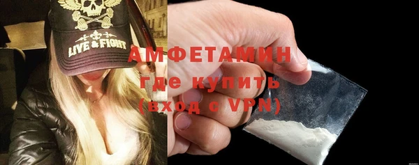 гашик Ветлуга